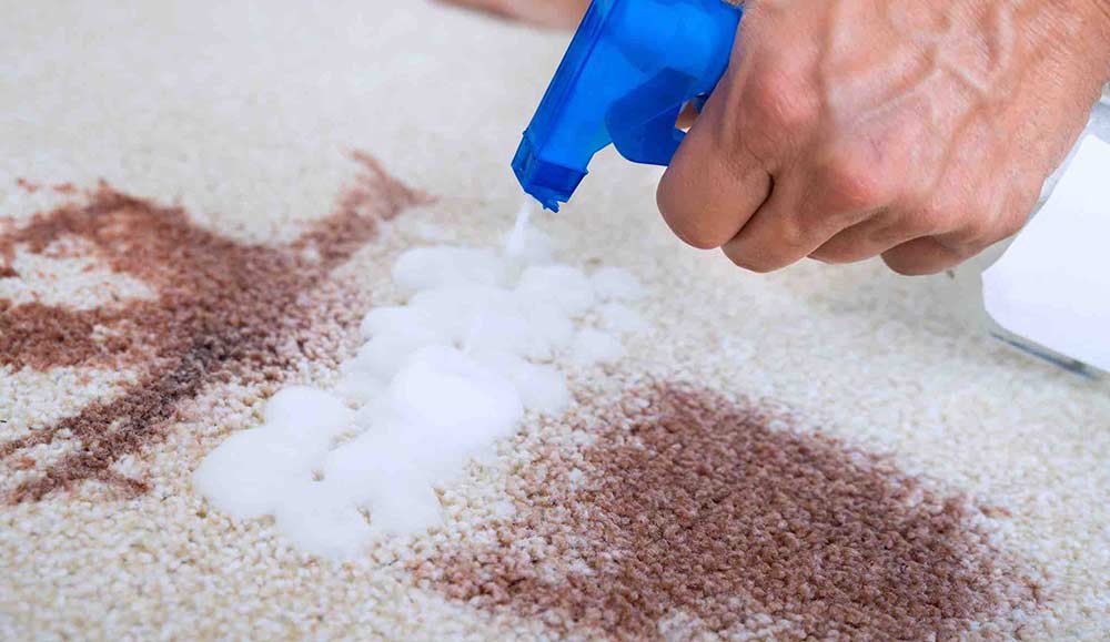 Nettoyant et D&eacute;graissant Universel